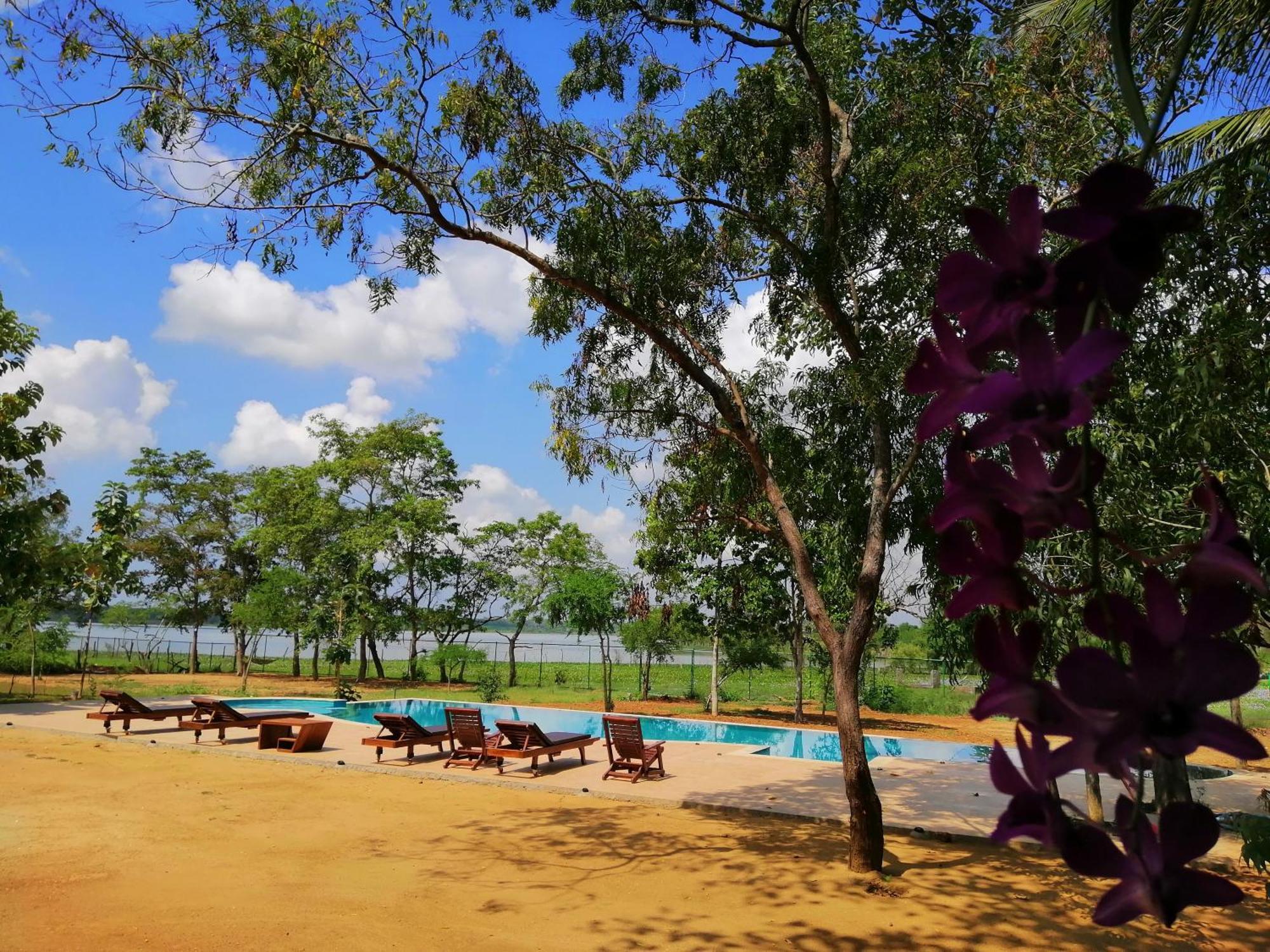 Breezy Lake ทิซซามาฮารามา ภายนอก รูปภาพ