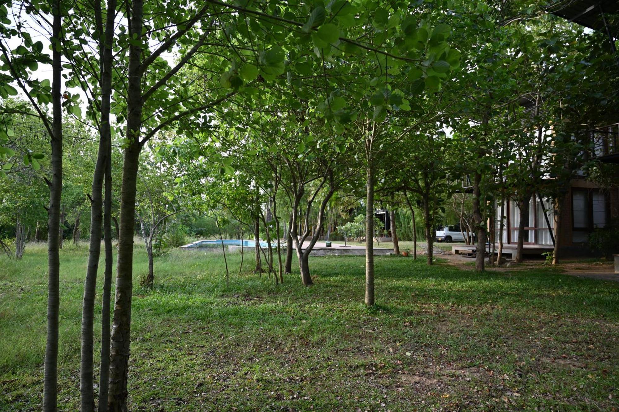 Breezy Lake ทิซซามาฮารามา ภายนอก รูปภาพ