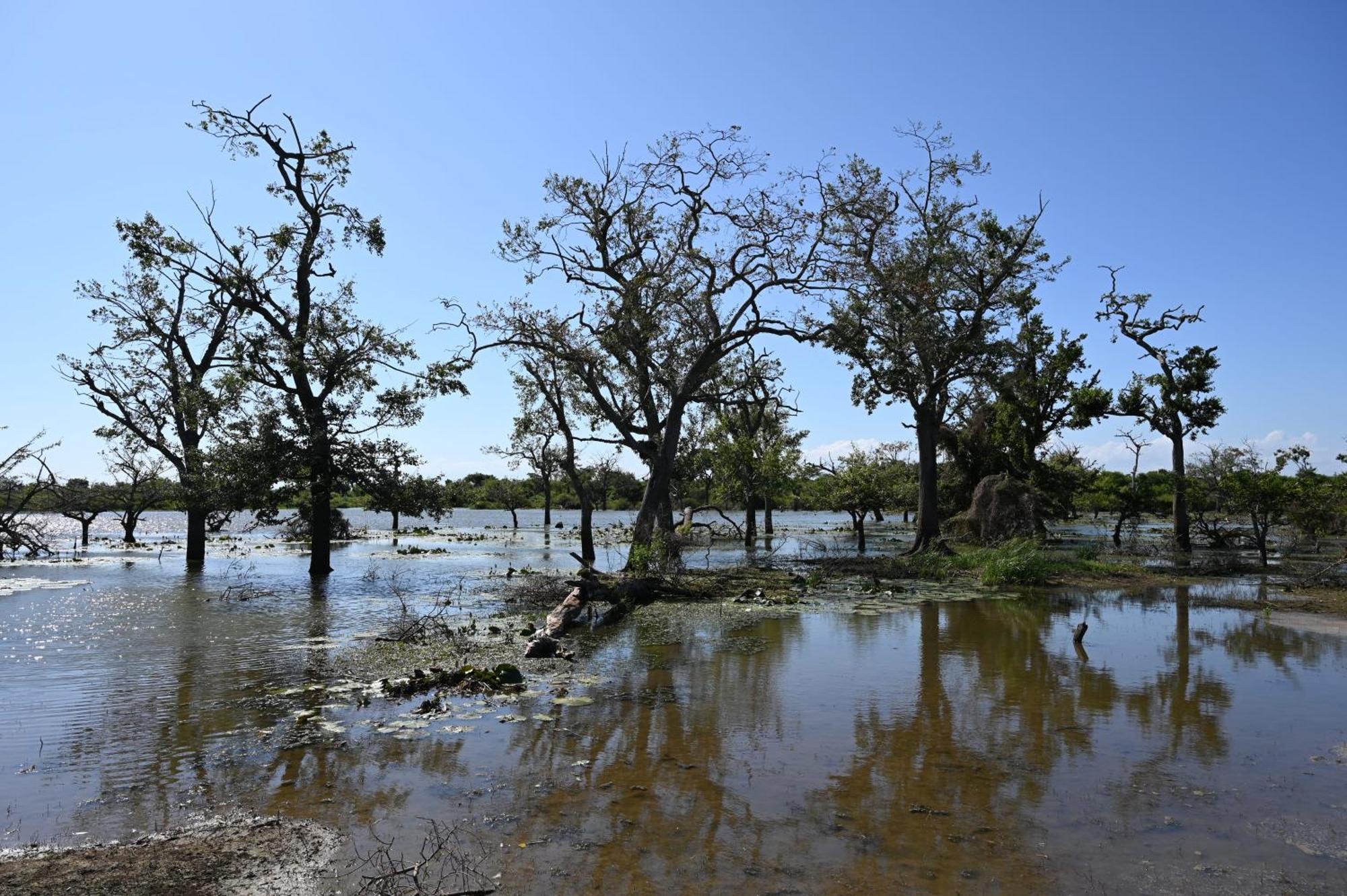 Breezy Lake ทิซซามาฮารามา ภายนอก รูปภาพ